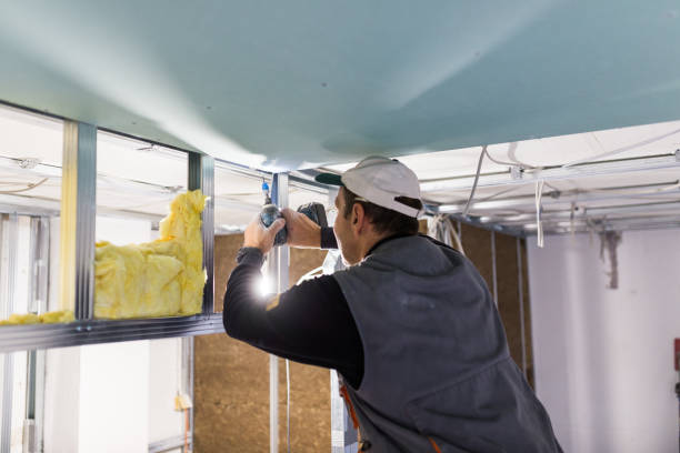 Types of Insulation We Offer in Ovid, MI